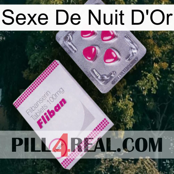 Golden Night Sex 32